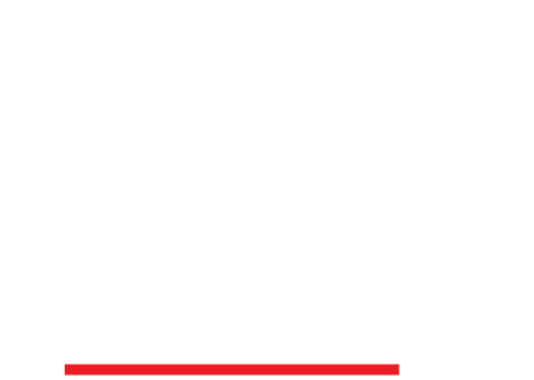 Logo Moda Domani Institute